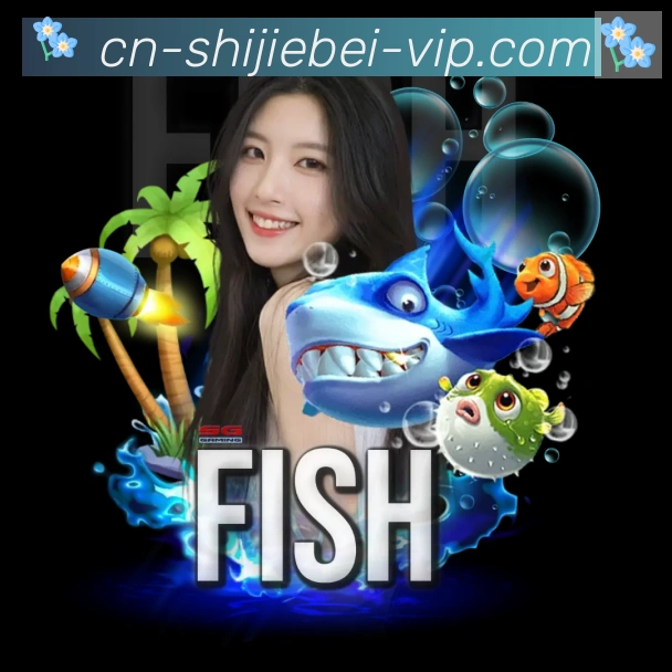 奖项证书